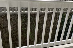 1015 Holly Dr, Gainesville, GA 30501 - Photo 21