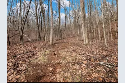 206 Oakridge Drive, Cleveland, GA 30528 - Photo 15