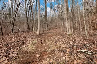 206 Oakridge Dr, Cleveland, GA 30528 - Photo 15