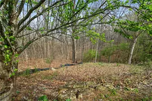 346 Highland Pointe Cir E, Dawsonville, GA 30534 - Photo 41