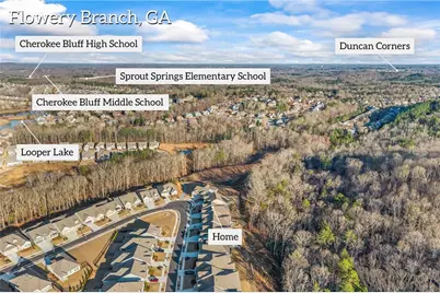 7076 Cottage Grove Drive, Flowery Branch, GA 30542 - Photo 39