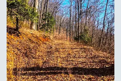 0 Coopers Gap Road, Dahlonega, GA 30533 - Photo 5