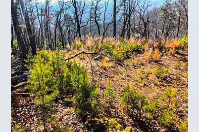 0 Coopers Gap Road, Dahlonega, GA 30533 - Photo 7