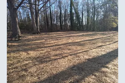 151 Richardson Street, Toccoa, GA 30577 - Photo 35