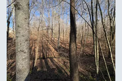 0 Gold View Drive, Dahlonega, GA 30533 - Photo 3