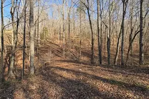 0 Gold View Dr, Dahlonega, GA 30533 - Photo 1