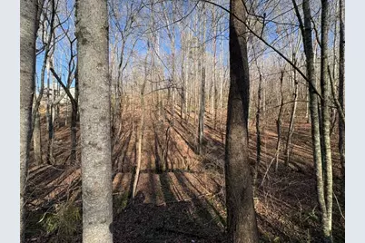 0 Gold View Drive, Dahlonega, GA 30533 - Photo 9