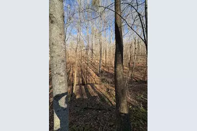 0 Gold View Drive, Dahlonega, GA 30533 - Photo 11