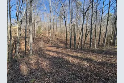 0 Gold View Drive, Dahlonega, GA 30533 - Photo 5