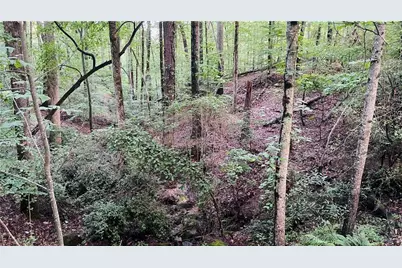 15890 Henderson Road, Alpharetta, GA 30004 - Photo 11