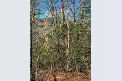00 Ts Jarrard, Dahlonega, GA 30533 - Photo 1