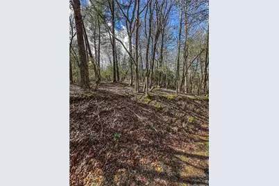 00 Ts Jarrard, Dahlonega, GA 30533 - Photo 11