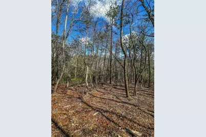 00 Ts Jarrard, Dahlonega, GA 30533 - Photo 21