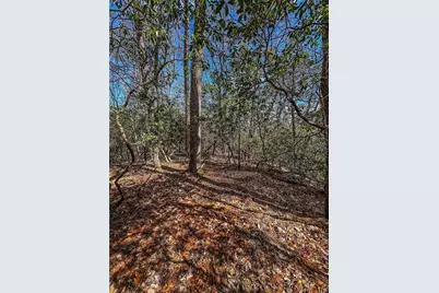 00 Ts Jarrard, Dahlonega, GA 30533 - Photo 29