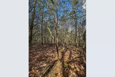 00 Ts Jarrard, Dahlonega, GA 30533 - Photo 33