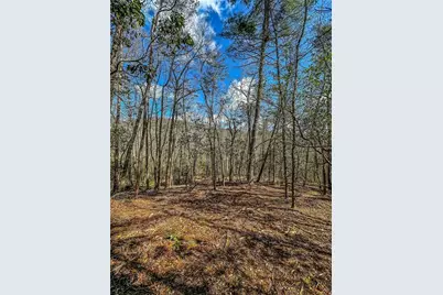 00 Ts Jarrard, Dahlonega, GA 30533 - Photo 7