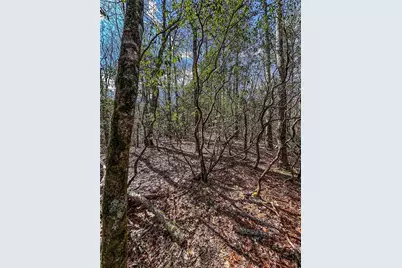 00 Ts Jarrard, Dahlonega, GA 30533 - Photo 35