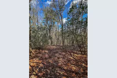 00 Ts Jarrard, Dahlonega, GA 30533 - Photo 23