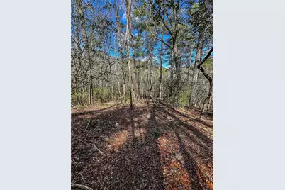00 Ts Jarrard, Dahlonega, GA 30533 - Photo 39