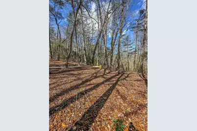 00 Ts Jarrard, Dahlonega, GA 30533 - Photo 9