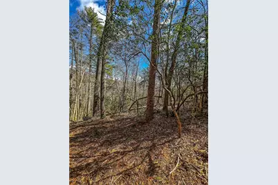 00 Ts Jarrard, Dahlonega, GA 30533 - Photo 41