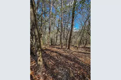 00 Ts Jarrard, Dahlonega, GA 30533 - Photo 37