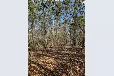 00 Ts Jarrard, Dahlonega, GA 30533 - Photo 31