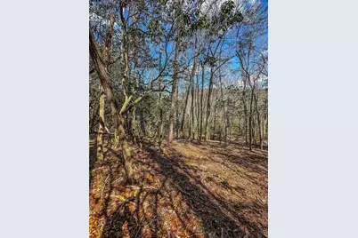 00 Ts Jarrard, Dahlonega, GA 30533 - Photo 19