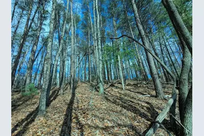 Lt 30 Eagle Ridge Road, Dawsonville, GA 30534 - Photo 9