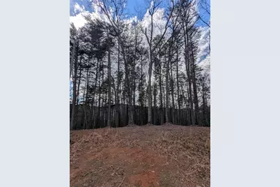 Lt 30 Eagle Ridge Road, Dawsonville, GA 30534 - Photo 3