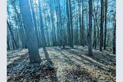 Lt 30 Eagle Ridge Road, Dawsonville, GA 30534 - Photo 11