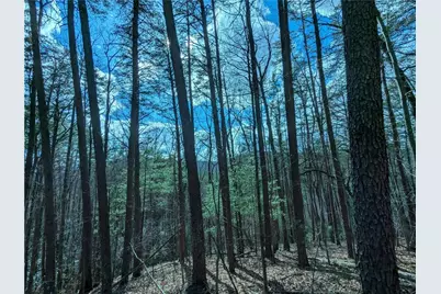 Lt 30 Eagle Ridge Road, Dawsonville, GA 30534 - Photo 7