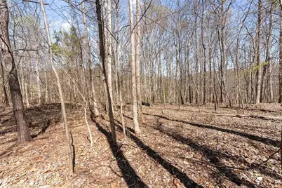 4055 Vintage Court, Cumming, GA 30041 - Photo 29