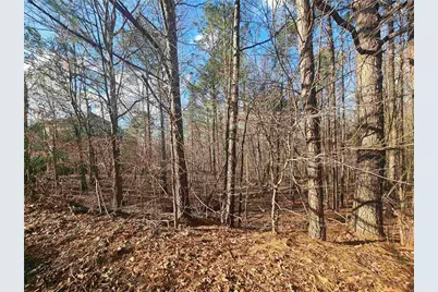 1628 Norris Landing Drive, Snellville, GA 30039 - Photo 3