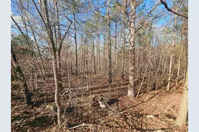 1628 Norris Landing Drive, Snellville, GA 30039 - Photo 7