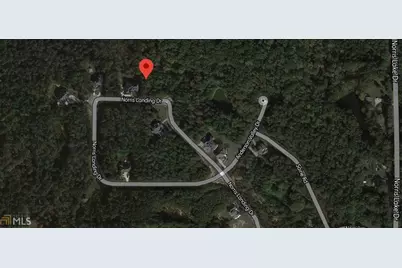 1628 Norris Landing Drive, Snellville, GA 30039 - Photo 13