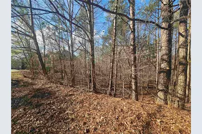 1628 Norris Landing Drive, Snellville, GA 30039 - Photo 5