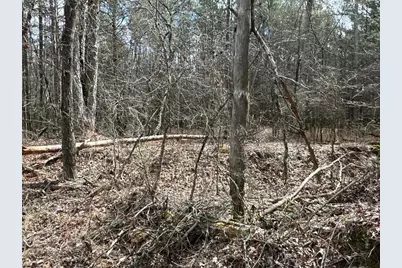 Tct 3 Popham Road, Taylorsville, GA 30178 - Photo 13