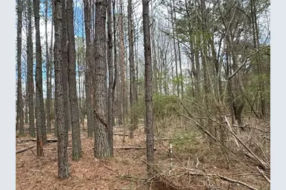 Tct 3 Popham Road, Taylorsville, GA 30178 - Photo 9