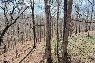 9011 High Point Rd, Villa Rica, GA 30180 - Photo 59