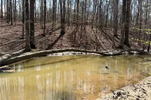 9011 High Point Rd, Villa Rica, GA 30180 - Photo 61