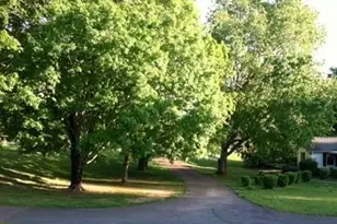 4299 E Cherokee Dr, Canton, GA 30115 - Photo 11