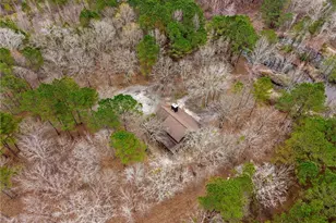 250 Lee Paul Rd, Hawkinsville, GA 31036 - Photo 47