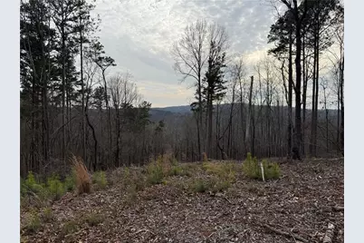 316 Pebble Trace Street, Ellijay, GA 30540 - Photo 23
