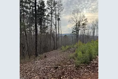 316 Pebble Trace Street, Ellijay, GA 30540 - Photo 25