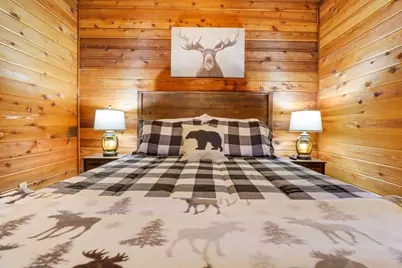 439 Conley Branch Rd, Blue Ridge, GA 30513 - Photo 7