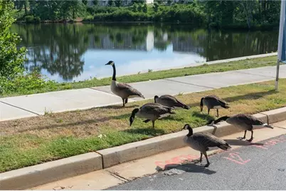 161 Jameson Drive, Acworth, GA 30102 - Photo 45