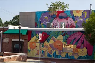 351 Colorado Ave, Atlanta, GA 30354 - Photo 95