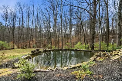 710 Lumber Company Road, Talking Rock, GA 30175 - Photo 23