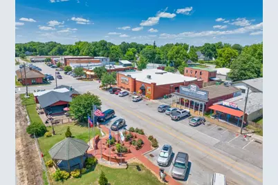 225 Cochin Drive, Statham, GA 30666 - Photo 43